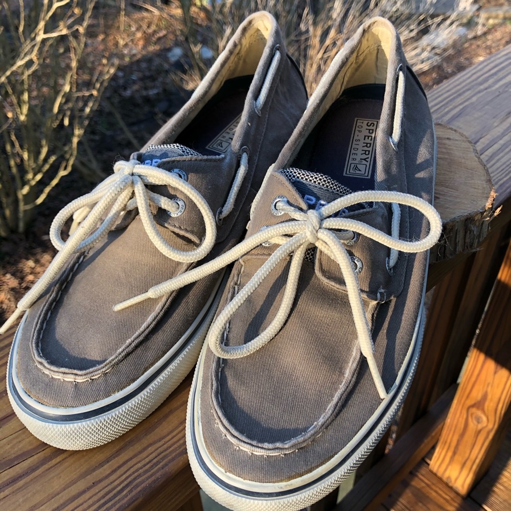 Sperry canvas